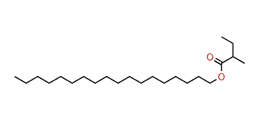 Octadecyl 2-methylbutanoate